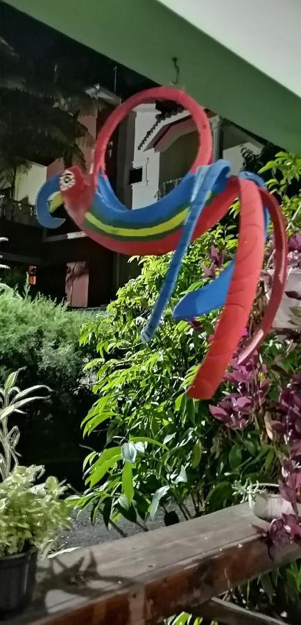La Famosa Costillas A La Lena Jarabacoa Luaran gambar